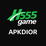 H555 Game