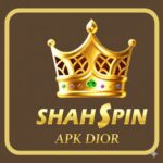 Shah Spin Game