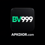 BV999 Game
