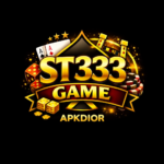 ST333 Game