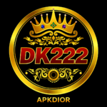 DK222 Game