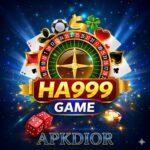 HA999 Game