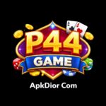 P44 Game