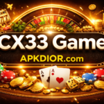 CX333 Game