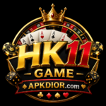 HK11 Game