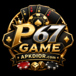 P67 Game