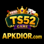 TS52 Game